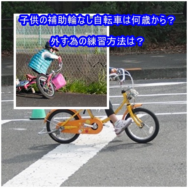 自転車 補助 輪 なし 3 歳